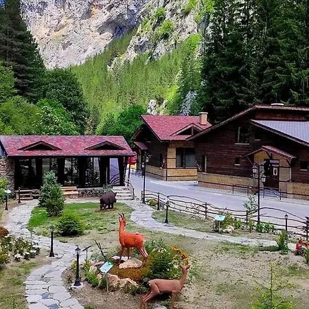 Horlog Castle Holiday park